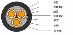 3*2.5，3*3，3*4，3*6，3*10，3*16，3*25屏蔽電纜結(jié)構(gòu)圖