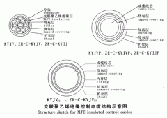 KYJV，KYJVP，KYJV22額定電壓0.6/1kV交聯聚乙烯絕緣控制電纜