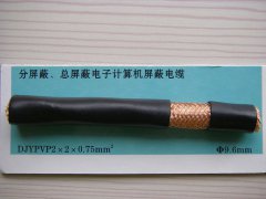 DJYPVP 2*2*0.75 分屏蔽、總屏蔽電子計(jì)算機(jī)屏蔽電纜